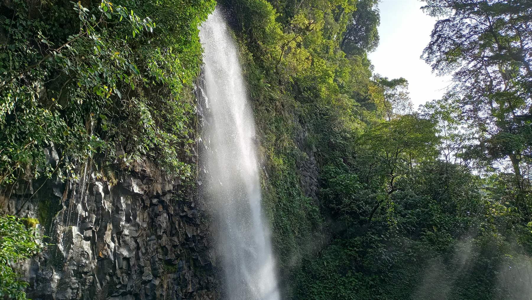 Rute Perjalanan Padang – Bukittinggi yang Indah